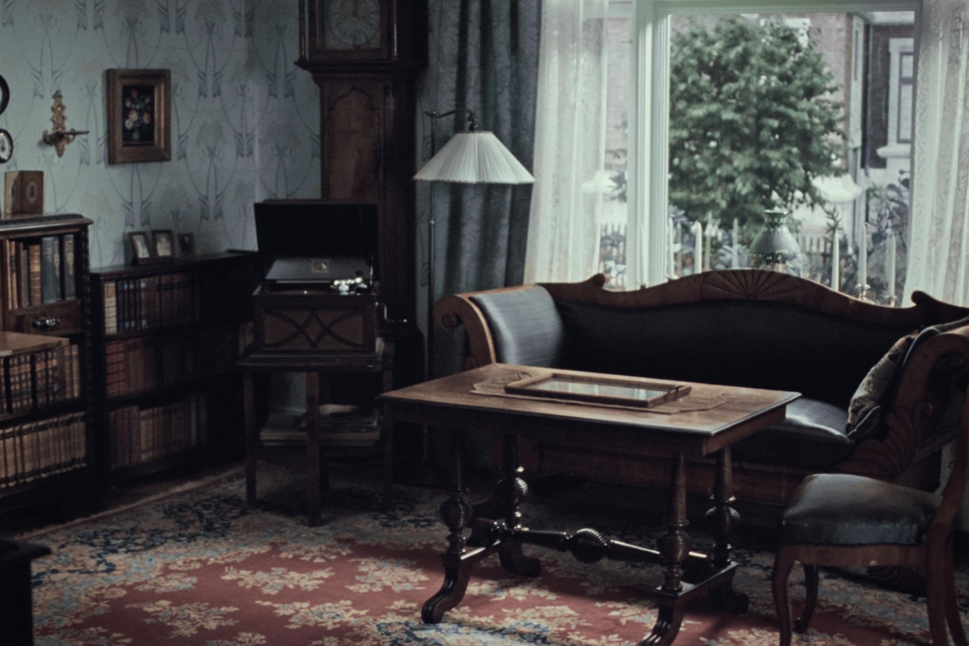The library room of the Borg household.